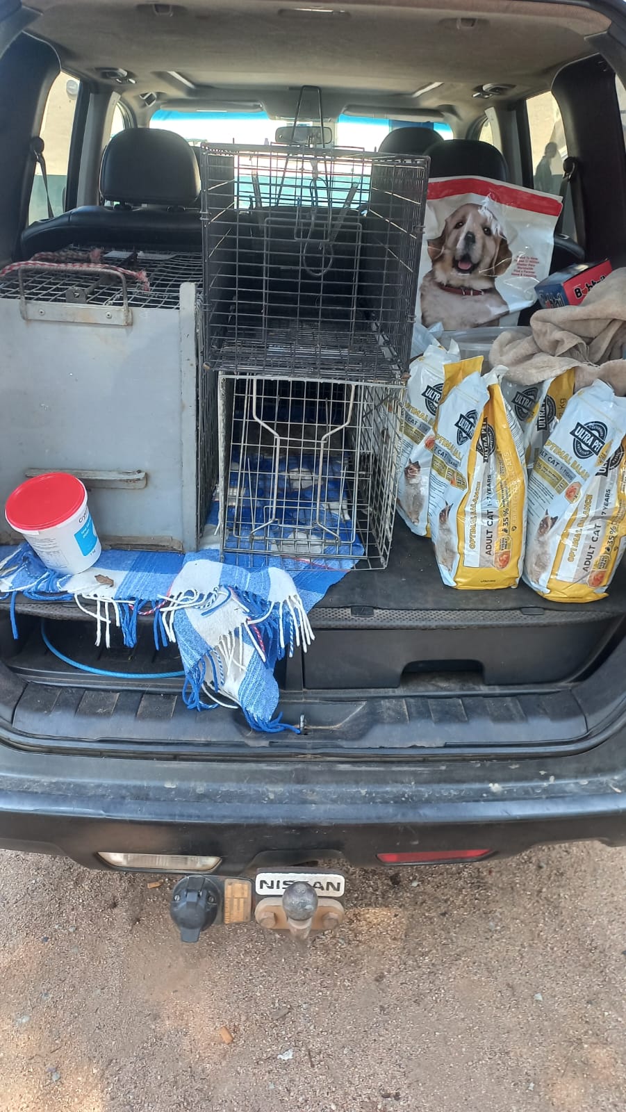 Donated food from Thomas